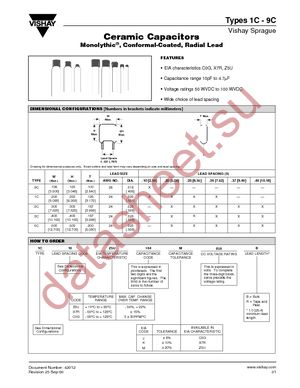 1C10Z5U104M100B datasheet  